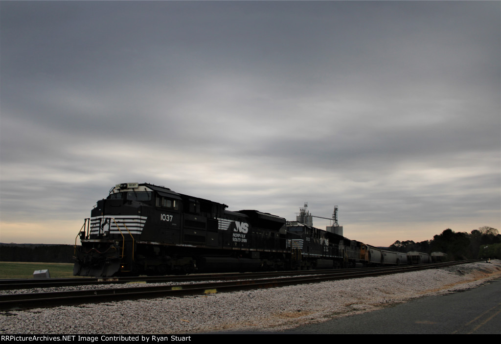 NS 1037